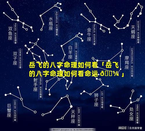 岳飞的八字命理如何看「岳飞的八字命理如何看命运 🌼 」
